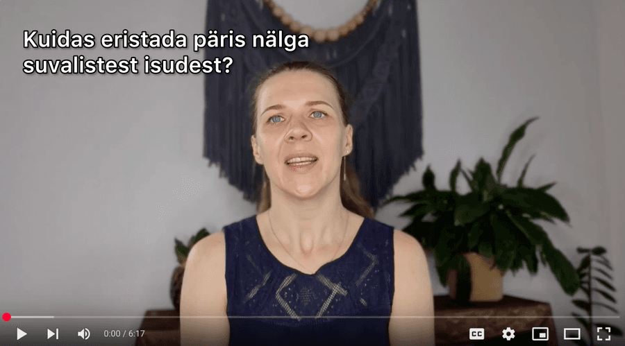 Video preview